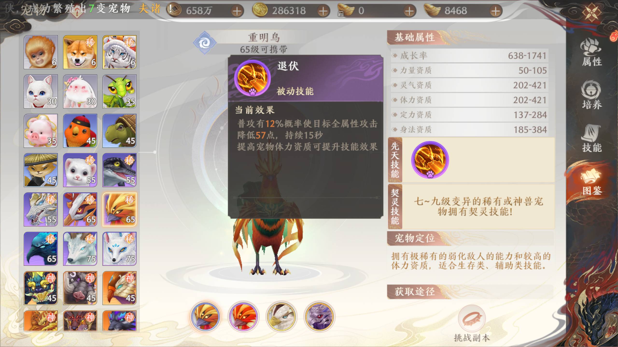 天龙八部2飞龙战天宠物类型有哪些2