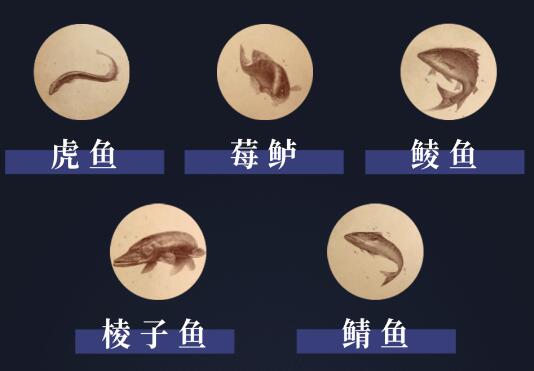 阿什沃德墓园有什么鱼1