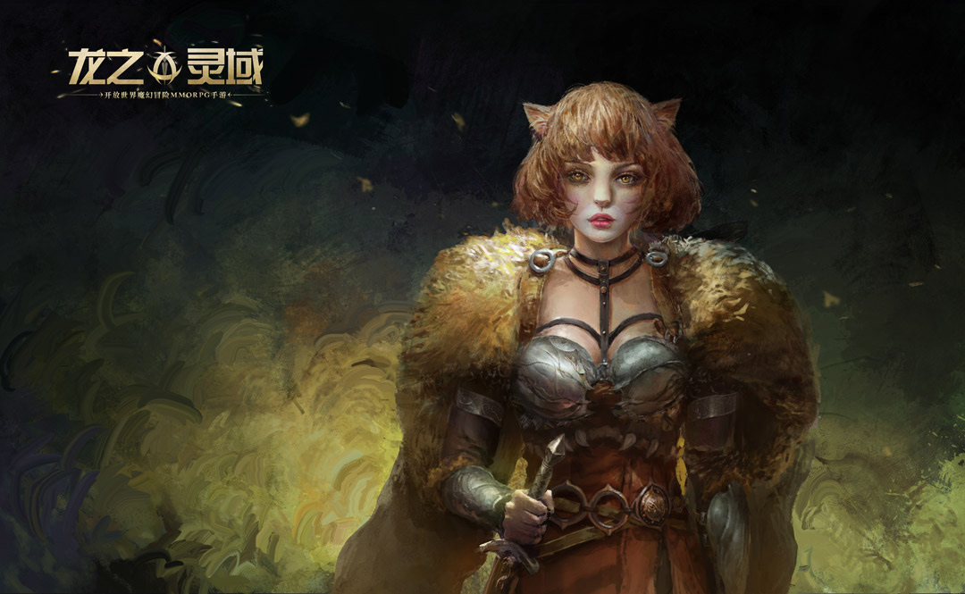 龙之灵域什么职业厉害5