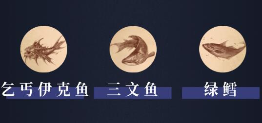阿什沃德墓园有什么鱼3