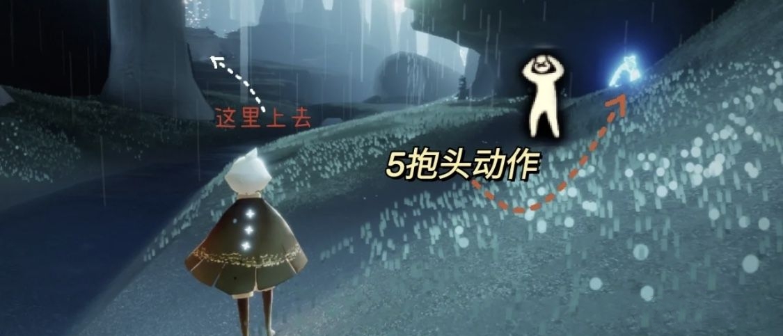 光遇全先祖回归雨林位置4