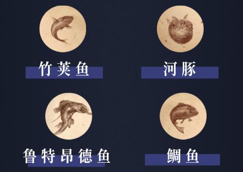 阿什沃德墓园有什么鱼2