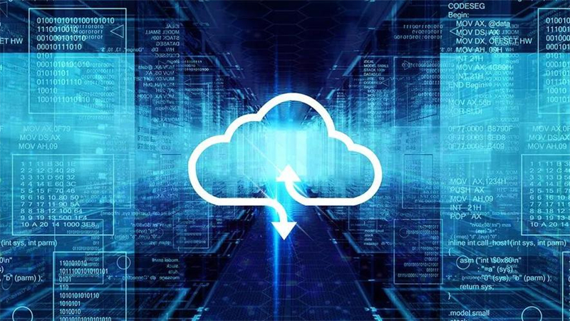 1725131676080.jpg 41.jpg