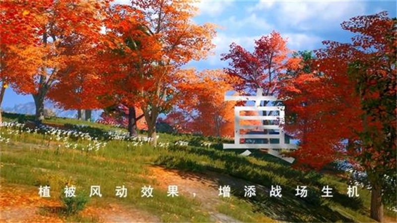 1727971501197.jpg 41.jpg