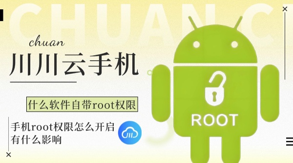 什么软件自带root权限1