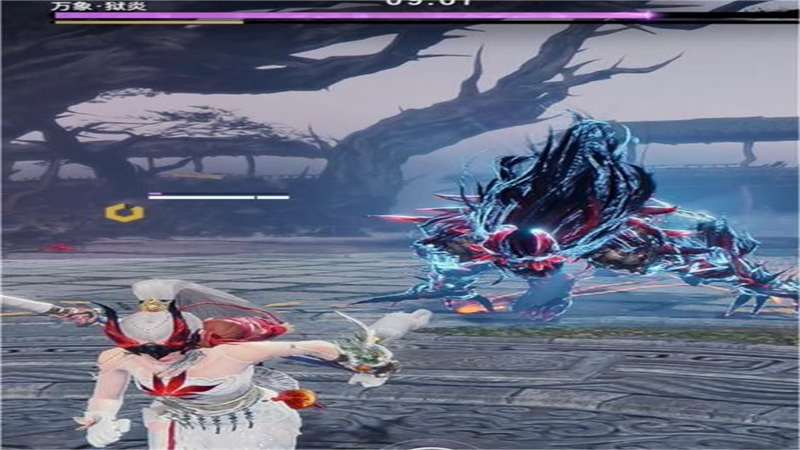 1762409044490.jpg 40.jpg