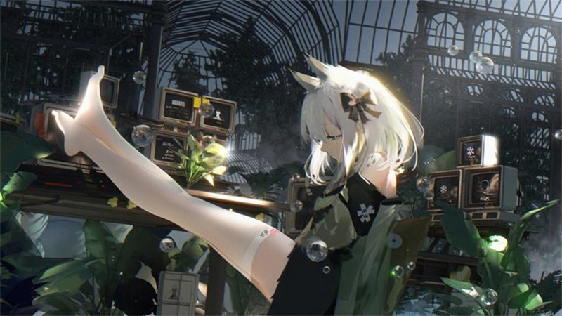 1766650743727.jpg 20.jpg