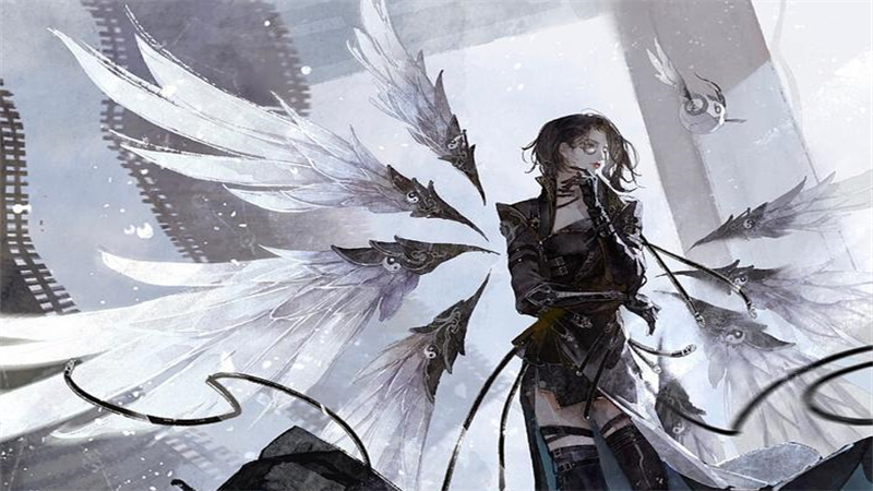 1767381911542.jpg 4.jpg