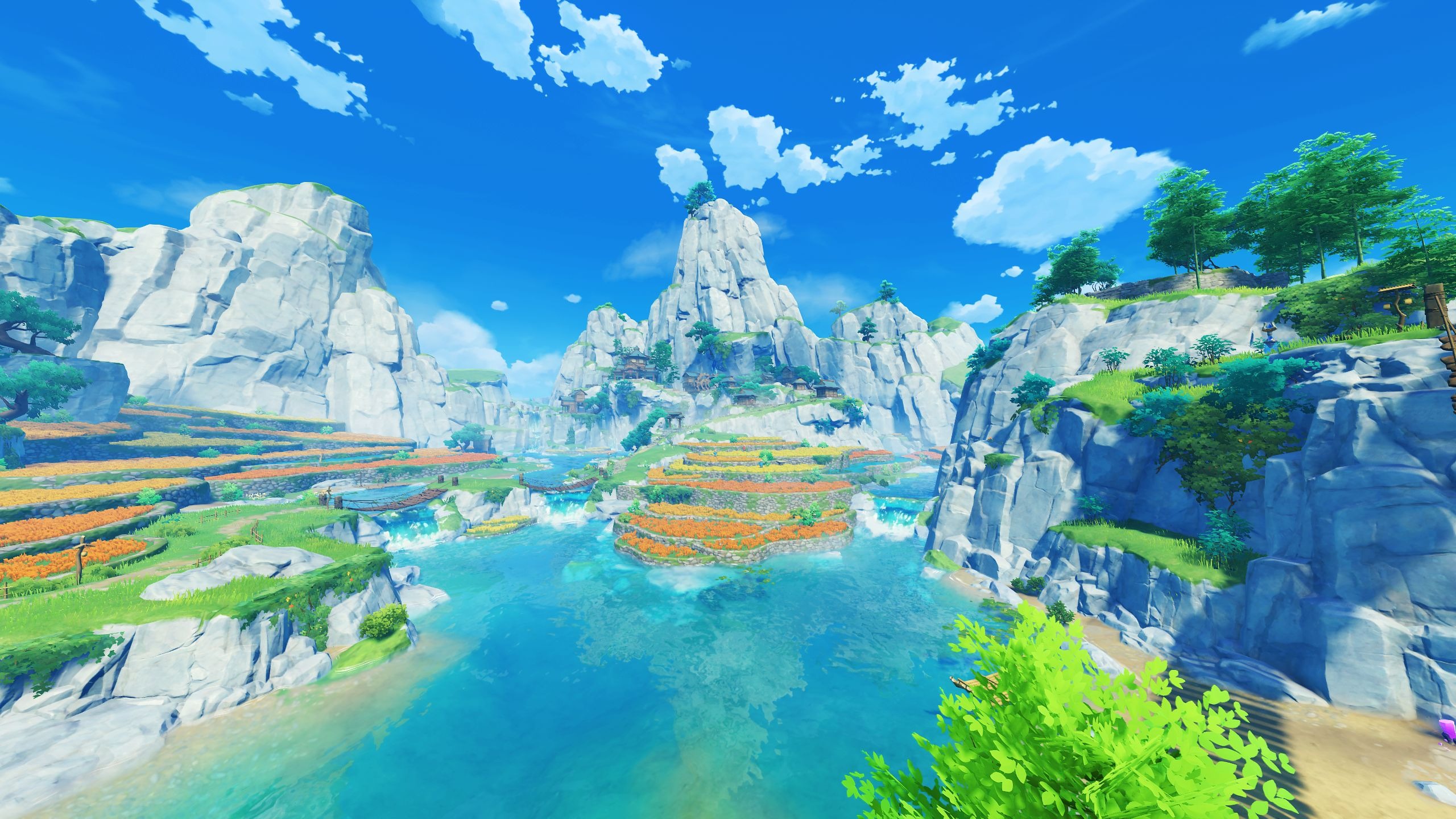 1771414900732.jpg 1771414900732.jpg