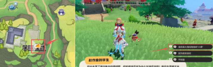 洛克王国世界潮汐集市浪花币怎么收集 速刷路线与隐藏点位一网打尽