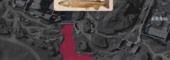 三角洲行动红鱼在哪钓 三角洲行动红鱼所有钓点位置