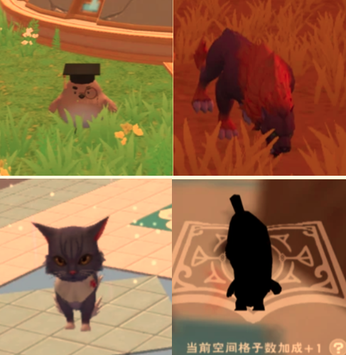 创造与魔法刀盾狗香蕉猫获得攻略 创造与魔法刀盾狗香蕉猫在哪里获取
