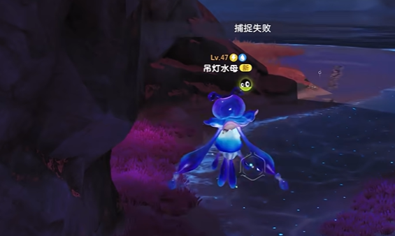 伊莫吊灯水母怎么抓 伊莫吊灯水母获取攻略